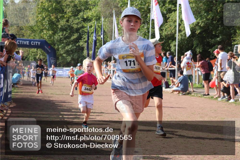 08.09.2024 - Airport Race Strokosch-Dieckow http://msf.ph/oto/7009565 08.09.2024 11:29:25 Ziel 1630, 1641, 1644, 1651, 1656, 1696, 1699, 1701, 1710, 1711, 1778, 1854, 1920, 3414, 3442 meine-sportfotos.de