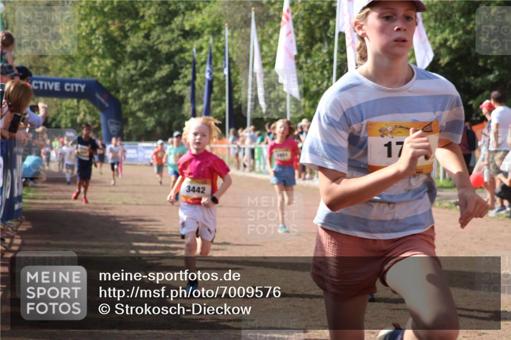 08.09.2024 - Airport Race Strokosch-Dieckow http://msf.ph/oto/7009576 08.09.2024 11:29:25 Ziel 1630, 1641, 1644, 1651, 1656, 1696, 1699, 1701, 1710, 1711, 1778, 1854, 1920, 3414, 3442 meine-sportfotos.de