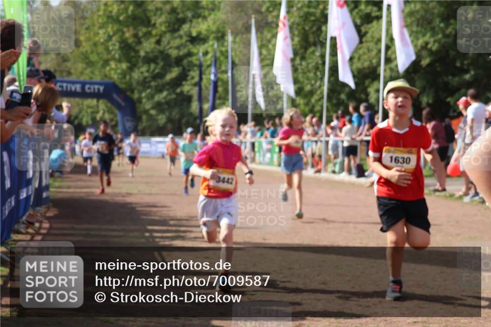 08.09.2024 - Airport Race Strokosch-Dieckow http://msf.ph/oto/7009587 08.09.2024 11:29:25 Ziel 1630, 1641, 1644, 1651, 1656, 1696, 1699, 1701, 1710, 1711, 1778, 1854, 1920, 3414, 3442 meine-sportfotos.de