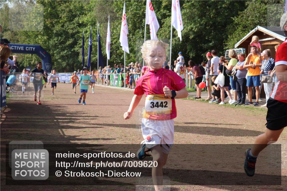 08.09.2024 - Airport Race Strokosch-Dieckow http://msf.ph/oto/7009620 08.09.2024 11:29:26 Ziel 1630, 1641, 1644, 1651, 1656, 1696, 1699, 1701, 1710, 1711, 1772, 1778, 1791, 1854, 1920, 3414, 3442 meine-sportfotos.de