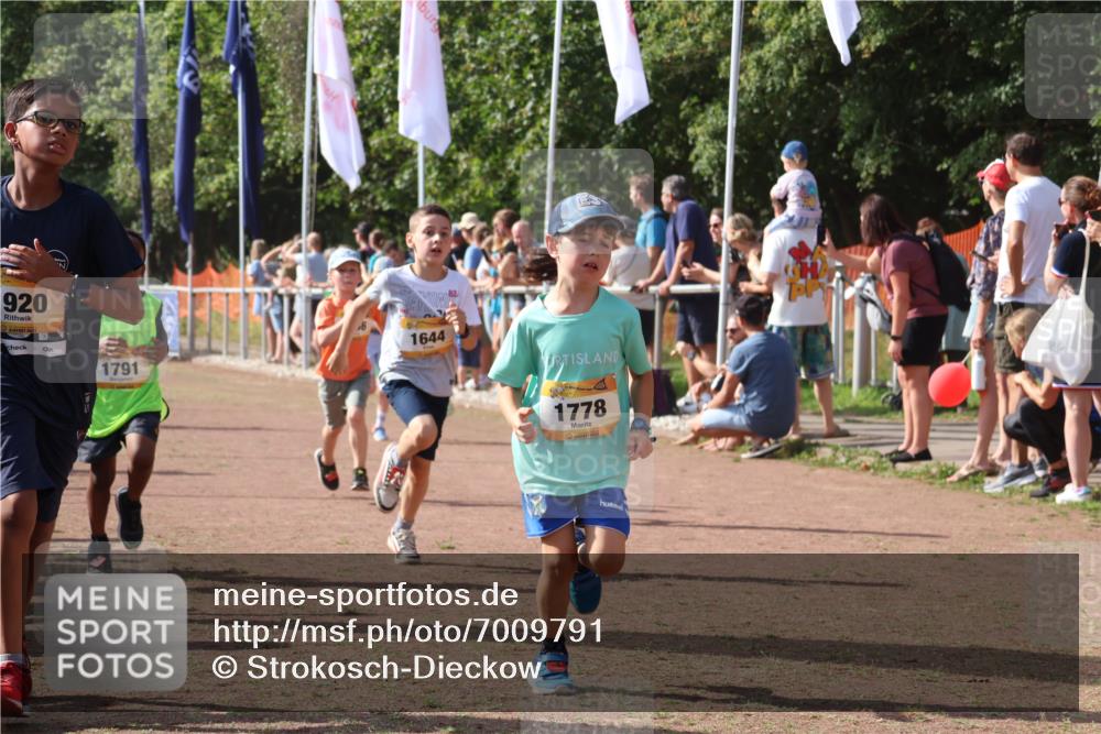 08.09.2024 - Airport Race Strokosch-Dieckow http://msf.ph/oto/7009791 08.09.2024 11:29:30 Ziel 1630, 1635, 1637, 1641, 1644, 1651, 1656, 1696, 1699, 1701, 1772, 1778, 1791, 1864, 1891, 1920, 3414 meine-sportfotos.de