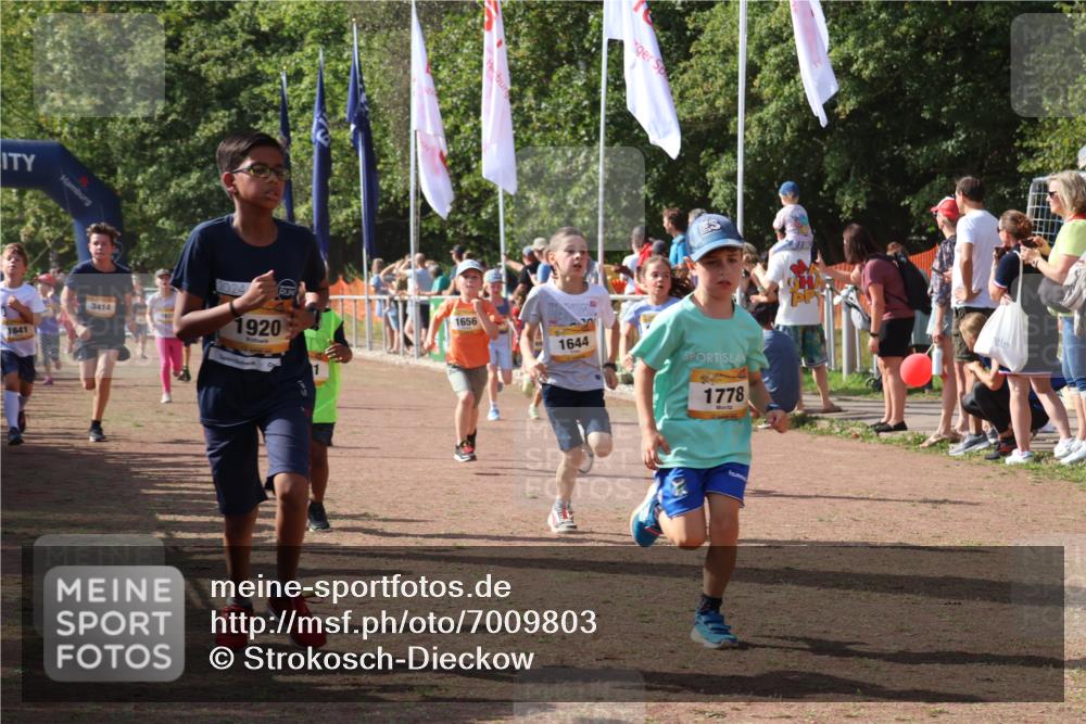 08.09.2024 - Airport Race Strokosch-Dieckow http://msf.ph/oto/7009803 08.09.2024 11:29:30 Ziel 1630, 1635, 1637, 1641, 1644, 1651, 1656, 1696, 1699, 1701, 1772, 1778, 1791, 1864, 1891, 1920, 3414 meine-sportfotos.de