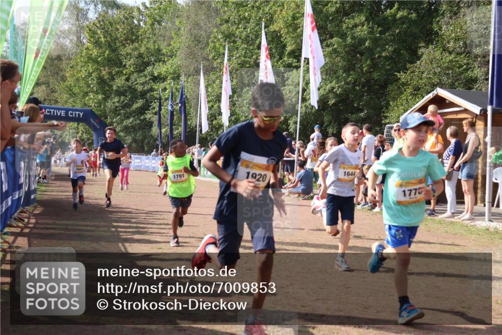 08.09.2024 - Airport Race Strokosch-Dieckow http://msf.ph/oto/7009853 08.09.2024 11:29:31 Ziel 1635, 1636, 1637, 1641, 1644, 1651, 1656, 1696, 1699, 1701, 1772, 1778, 1791, 1864, 1891, 1920, 3414 meine-sportfotos.de