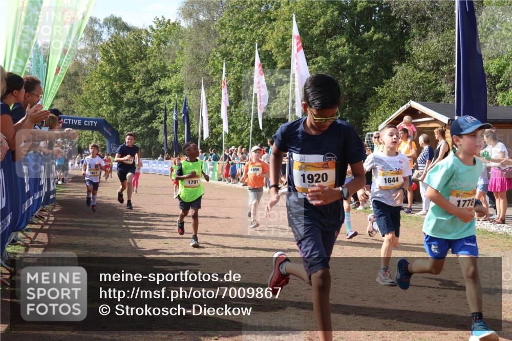 08.09.2024 - Airport Race Strokosch-Dieckow http://msf.ph/oto/7009867 08.09.2024 11:29:31 Ziel 1635, 1636, 1637, 1641, 1644, 1651, 1656, 1696, 1699, 1701, 1772, 1778, 1791, 1864, 1891, 1920, 3414 meine-sportfotos.de