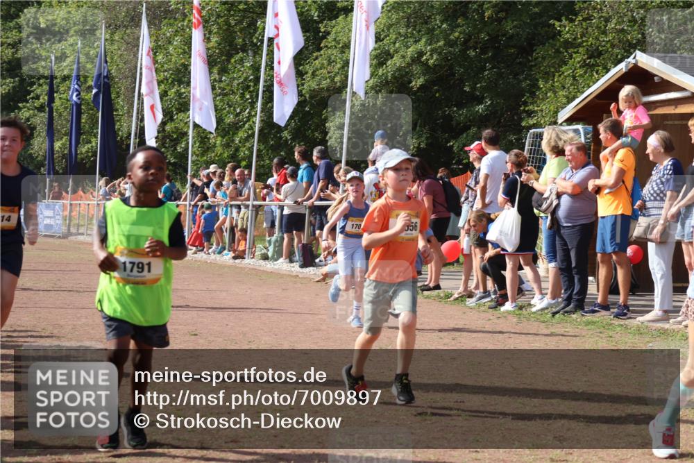 08.09.2024 - Airport Race Strokosch-Dieckow http://msf.ph/oto/7009897 08.09.2024 11:29:32 Ziel 1635, 1636, 1637, 1641, 1644, 1656, 1696, 1699, 1701, 1772, 1778, 1791, 1864, 1891, 1920, 3414 meine-sportfotos.de