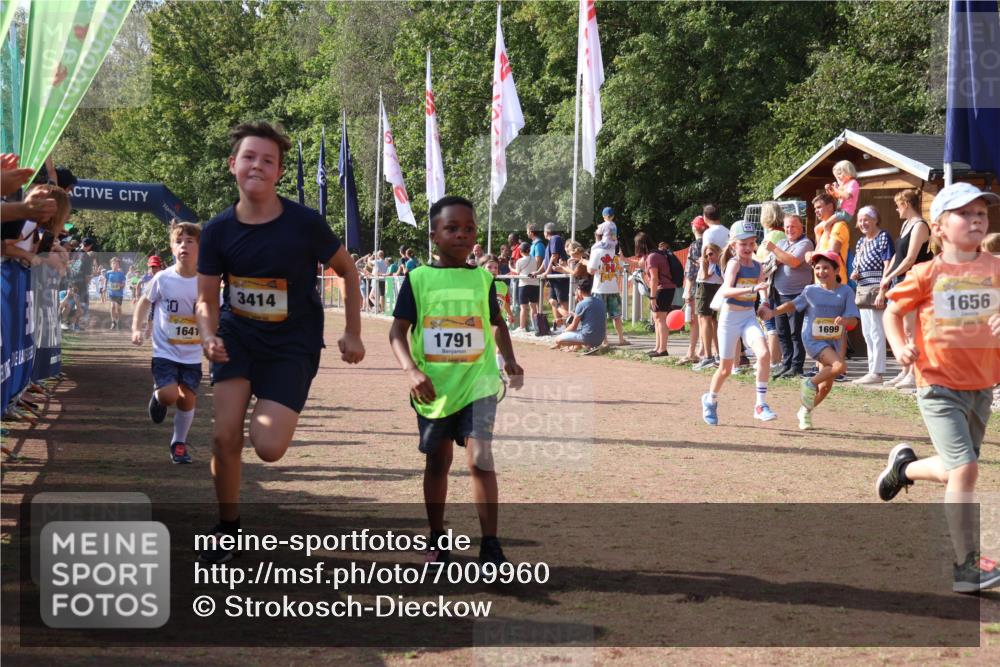 08.09.2024 - Airport Race Strokosch-Dieckow http://msf.ph/oto/7009960 08.09.2024 11:29:33 Ziel 1635, 1636, 1637, 1641, 1644, 1656, 1667, 1696, 1699, 1701, 1772, 1778, 1791, 1849, 1864, 1891, 1920, 1922, 3414 meine-sportfotos.de