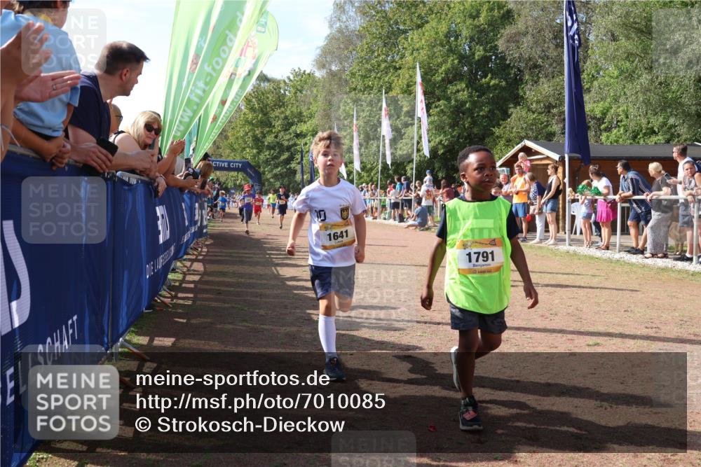 08.09.2024 - Airport Race Strokosch-Dieckow http://msf.ph/oto/7010085 08.09.2024 11:29:35 Ziel 1635, 1636, 1637, 1641, 1656, 1667, 1696, 1699, 1701, 1769, 1772, 1778, 1789, 1791, 1849, 1864, 1891, 1916, 1922, 3414, 3434 meine-sportfotos.de