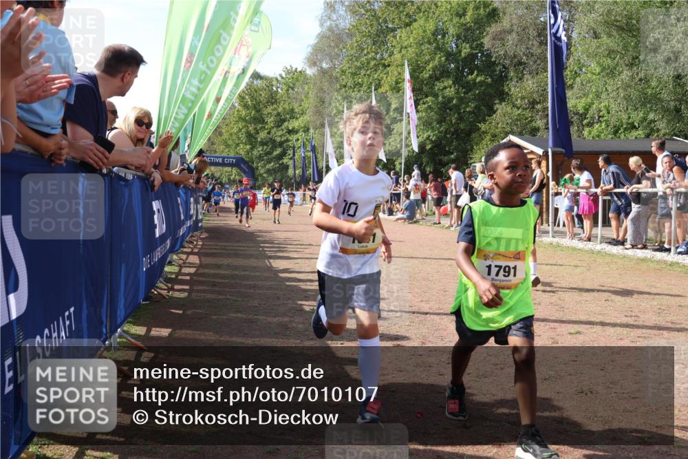 08.09.2024 - Airport Race Strokosch-Dieckow http://msf.ph/oto/7010107 08.09.2024 11:29:35 Ziel 1635, 1636, 1637, 1641, 1656, 1667, 1696, 1699, 1701, 1769, 1772, 1778, 1789, 1791, 1849, 1864, 1891, 1916, 1922, 3414, 3434 meine-sportfotos.de