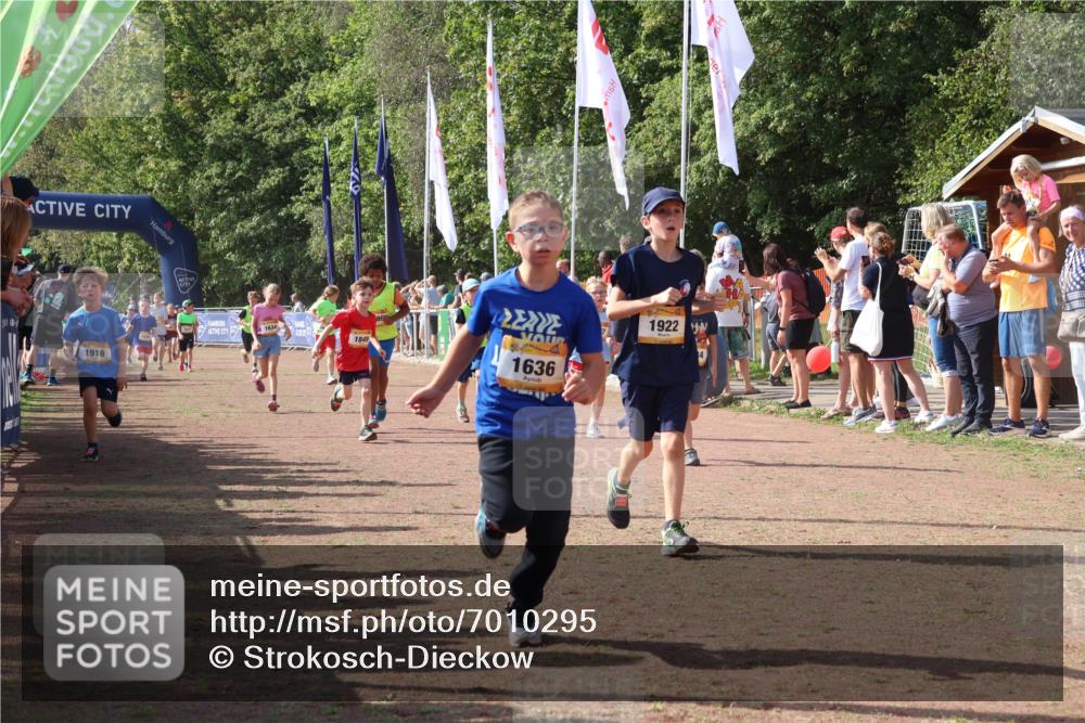 08.09.2024 - Airport Race Strokosch-Dieckow http://msf.ph/oto/7010295 08.09.2024 11:29:40 Ziel 1634, 1635, 1636, 1637, 1667, 1728, 1769, 1789, 1836, 1844, 1849, 1864, 1916, 1922, 3434 meine-sportfotos.de