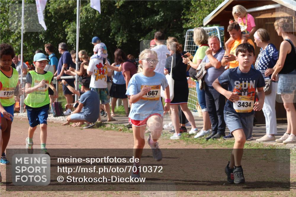 08.09.2024 - Airport Race Strokosch-Dieckow http://msf.ph/oto/7010372 08.09.2024 11:29:42 Ziel 1634, 1636, 1665, 1667, 1681, 1728, 1769, 1789, 1836, 1842, 1844, 1849, 1864, 1916, 1922, 3434 meine-sportfotos.de