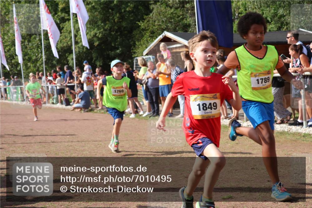 08.09.2024 - Airport Race Strokosch-Dieckow http://msf.ph/oto/7010495 08.09.2024 11:29:43 Ziel 1634, 1636, 1665, 1667, 1681, 1728, 1769, 1789, 1836, 1841, 1842, 1844, 1849, 1916, 1922, 3434 meine-sportfotos.de