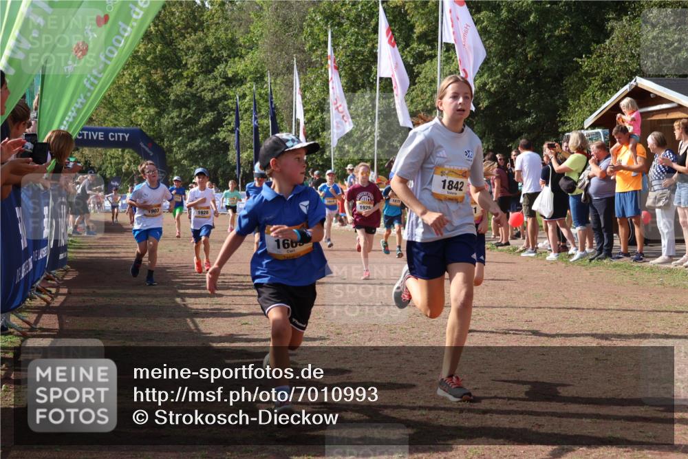 08.09.2024 - Airport Race Strokosch-Dieckow http://msf.ph/oto/7010993 08.09.2024 11:29:51 Ziel 1665, 1673, 1681, 1712, 1720, 1728, 1775, 1810, 1814, 1837, 1841, 1842, 1844, 1868, 1879, 1903, 1925, 1928, 3409 meine-sportfotos.de