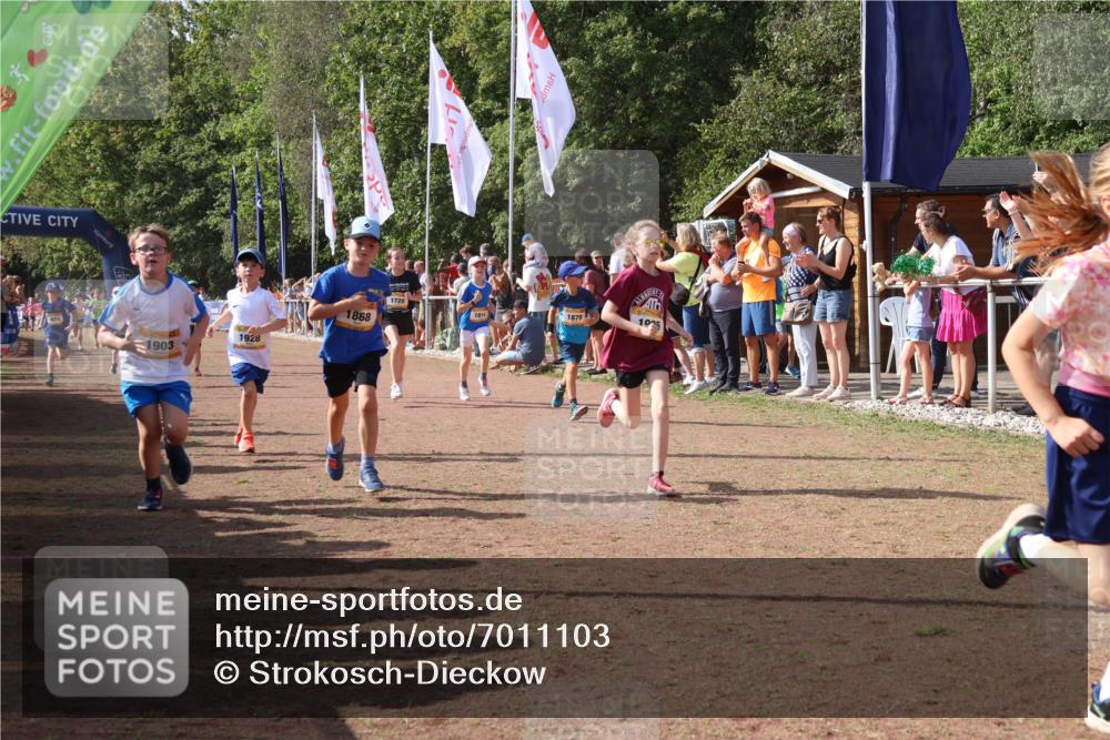 08.09.2024 - Airport Race Strokosch-Dieckow http://msf.ph/oto/7011103 08.09.2024 11:29:53 Ziel 1617, 1638, 1665, 1673, 1681, 1712, 1720, 1775, 1810, 1814, 1837, 1841, 1842, 1851, 1868, 1879, 1903, 1925, 1928, 3409 meine-sportfotos.de