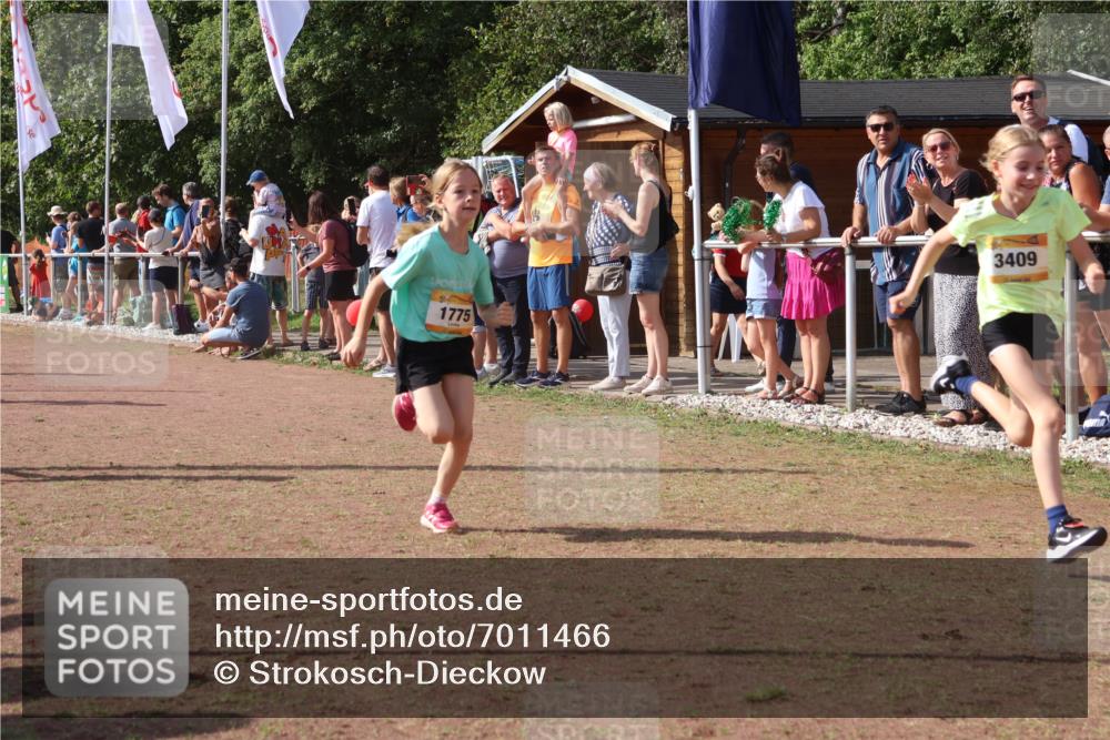 08.09.2024 - Airport Race Strokosch-Dieckow http://msf.ph/oto/7011466 08.09.2024 11:29:57 Ziel 1617, 1638, 1672, 1673, 1712, 1720, 1775, 1810, 1814, 1837, 1851, 1861, 1863, 1879, 1928, 3409 meine-sportfotos.de