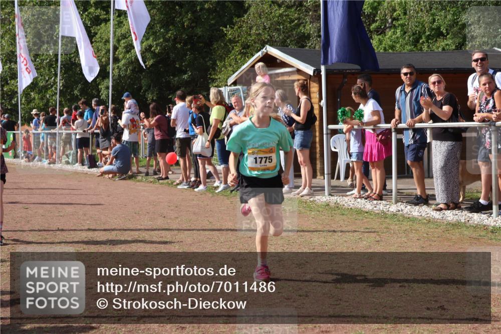 08.09.2024 - Airport Race Strokosch-Dieckow http://msf.ph/oto/7011486 08.09.2024 11:29:58 Ziel 1617, 1638, 1672, 1712, 1720, 1775, 1810, 1814, 1837, 1851, 1861, 1863, 3409 meine-sportfotos.de