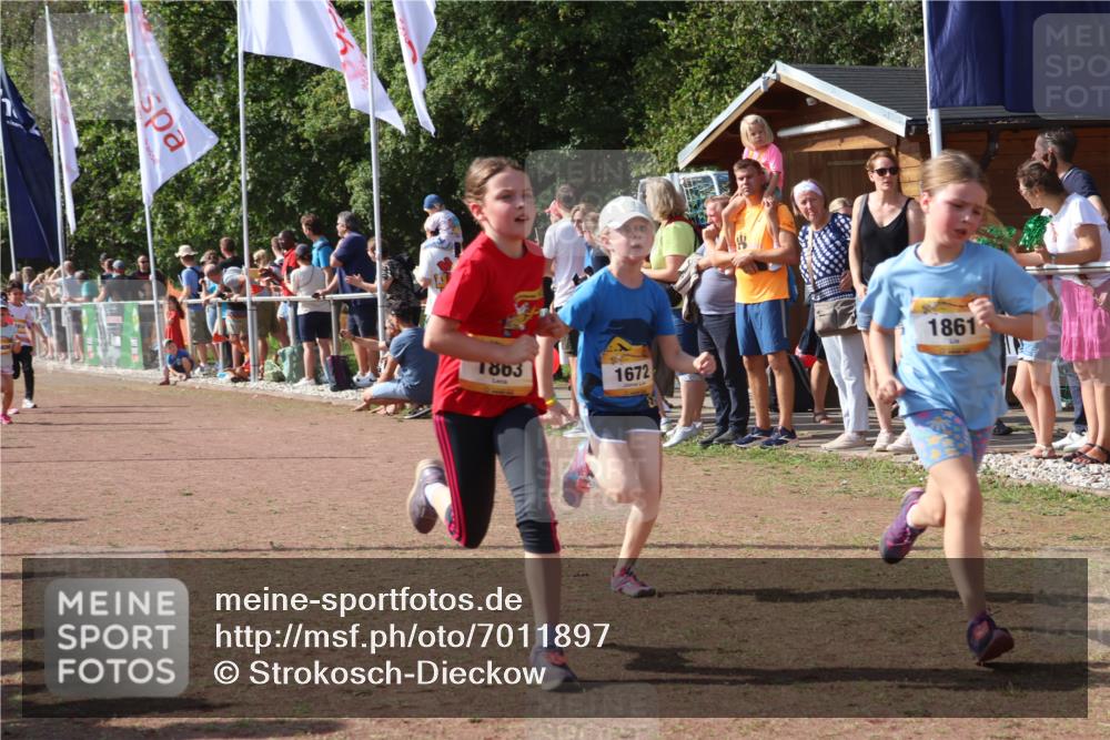 08.09.2024 - Airport Race Strokosch-Dieckow http://msf.ph/oto/7011897 08.09.2024 11:30:04 Ziel 1614, 1617, 1638, 1672, 1743, 1851, 1861, 1863, 1906, 1930, 3406, 3412, 3423, 3453 meine-sportfotos.de