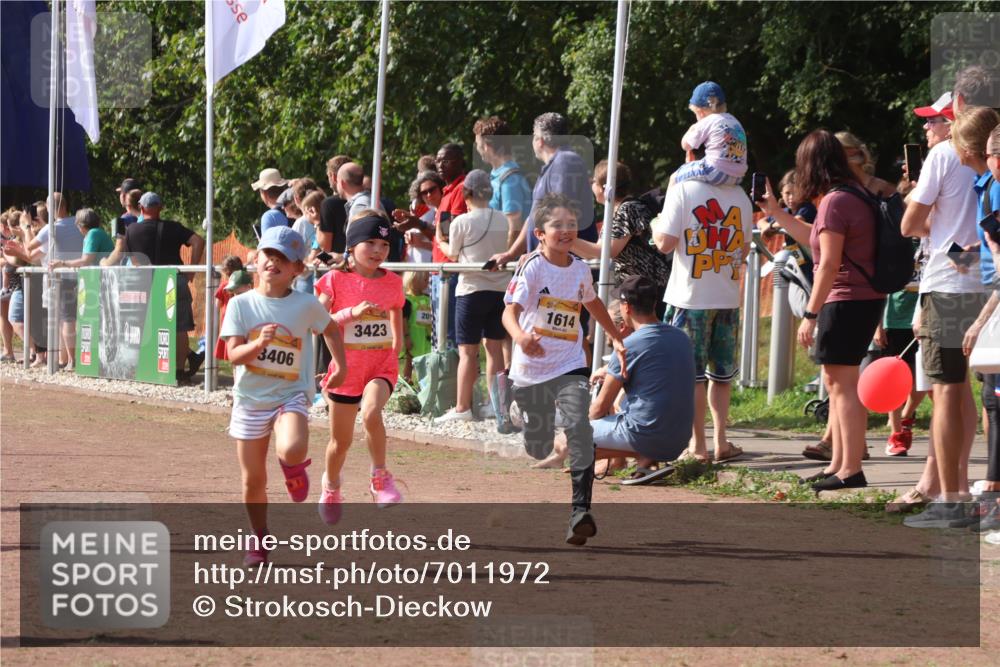 08.09.2024 - Airport Race Strokosch-Dieckow http://msf.ph/oto/7011972 08.09.2024 11:30:06 Ziel 1614, 1672, 1743, 1861, 1863, 1906, 1930, 3406, 3412, 3423, 3453 meine-sportfotos.de