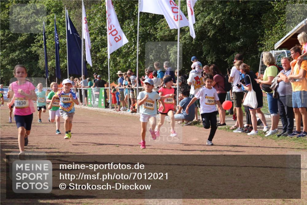 08.09.2024 - Airport Race Strokosch-Dieckow http://msf.ph/oto/7012021 08.09.2024 11:30:07 Ziel 1614, 1672, 1743, 1861, 1863, 1906, 1930, 3406, 3412, 3423, 3447, 3453 meine-sportfotos.de