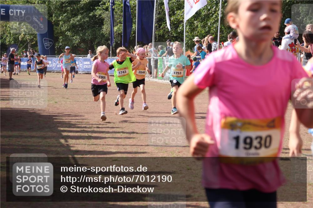 08.09.2024 - Airport Race Strokosch-Dieckow http://msf.ph/oto/7012190 08.09.2024 11:30:10 Ziel 1614, 1743, 1906, 1930, 3406, 3412, 3423, 3447, 3448, 3453 meine-sportfotos.de
