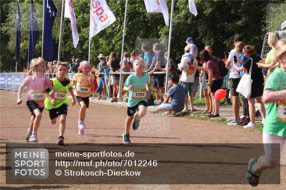 08.09.2024 - Airport Race Strokosch-Dieckow http://msf.ph/oto/7012246 08.09.2024 11:30:10 Ziel 1614, 1743, 1906, 1930, 3406, 3412, 3423, 3447, 3448, 3453 meine-sportfotos.de