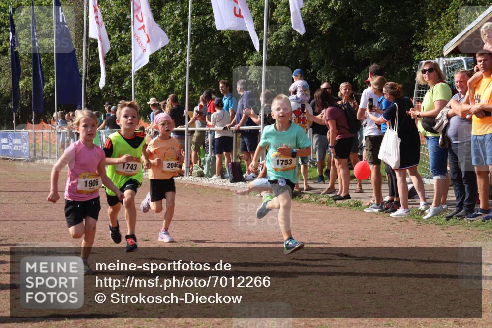 08.09.2024 - Airport Race Strokosch-Dieckow http://msf.ph/oto/7012266 08.09.2024 11:30:11 Ziel 1614, 1743, 1906, 1930, 3406, 3412, 3423, 3447, 3448, 3453 meine-sportfotos.de