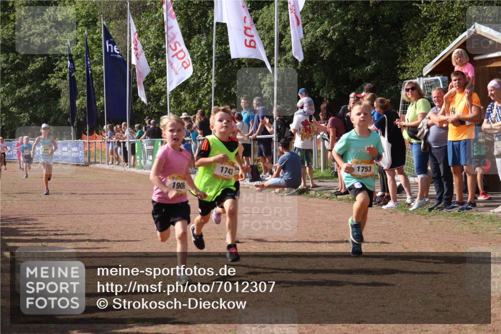 08.09.2024 - Airport Race Strokosch-Dieckow http://msf.ph/oto/7012307 08.09.2024 11:30:12 Ziel 1743, 1906, 1930, 3412, 3423, 3447, 3448 meine-sportfotos.de