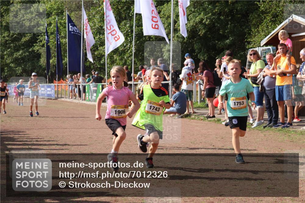 08.09.2024 - Airport Race Strokosch-Dieckow http://msf.ph/oto/7012326 08.09.2024 11:30:12 Ziel 1743, 1906, 1930, 3412, 3423, 3447, 3448 meine-sportfotos.de