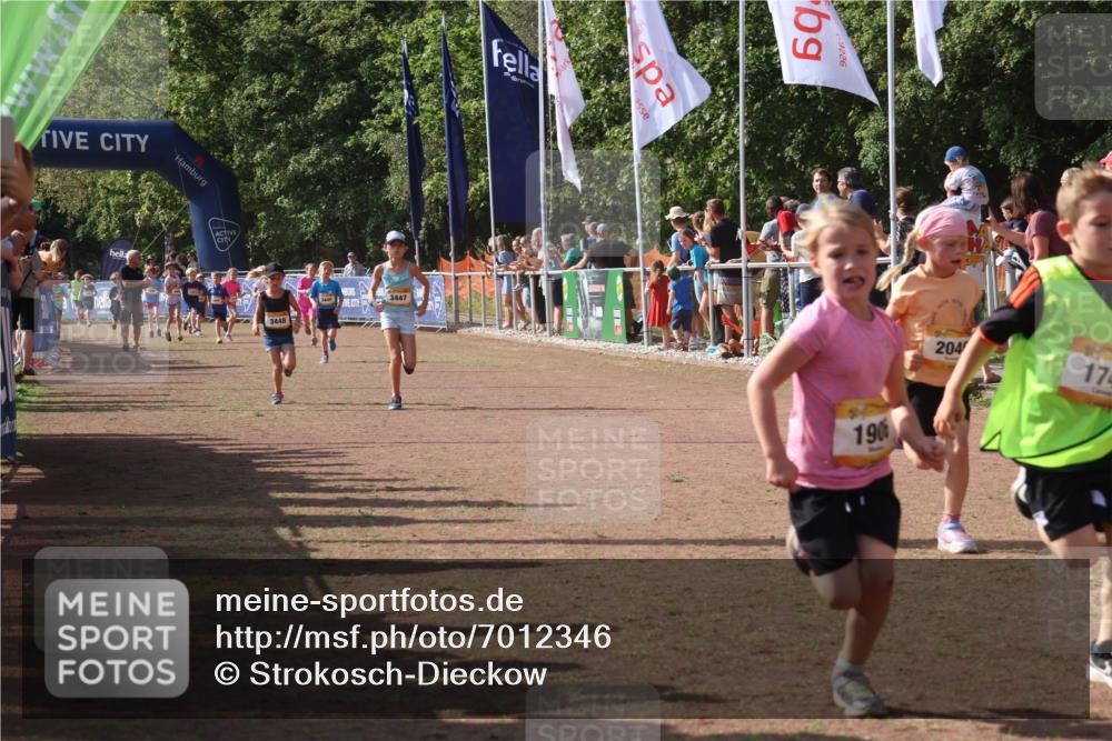 08.09.2024 - Airport Race Strokosch-Dieckow http://msf.ph/oto/7012346 08.09.2024 11:30:12 Ziel 1743, 1906, 1930, 3412, 3423, 3447, 3448 meine-sportfotos.de