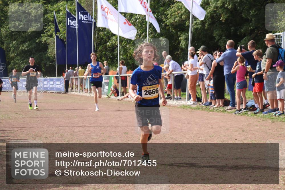 08.09.2024 - Airport Race Strokosch-Dieckow http://msf.ph/oto/7012455 08.09.2024 12:04:45 Ziel 687, 2666, 2845, 2857 meine-sportfotos.de