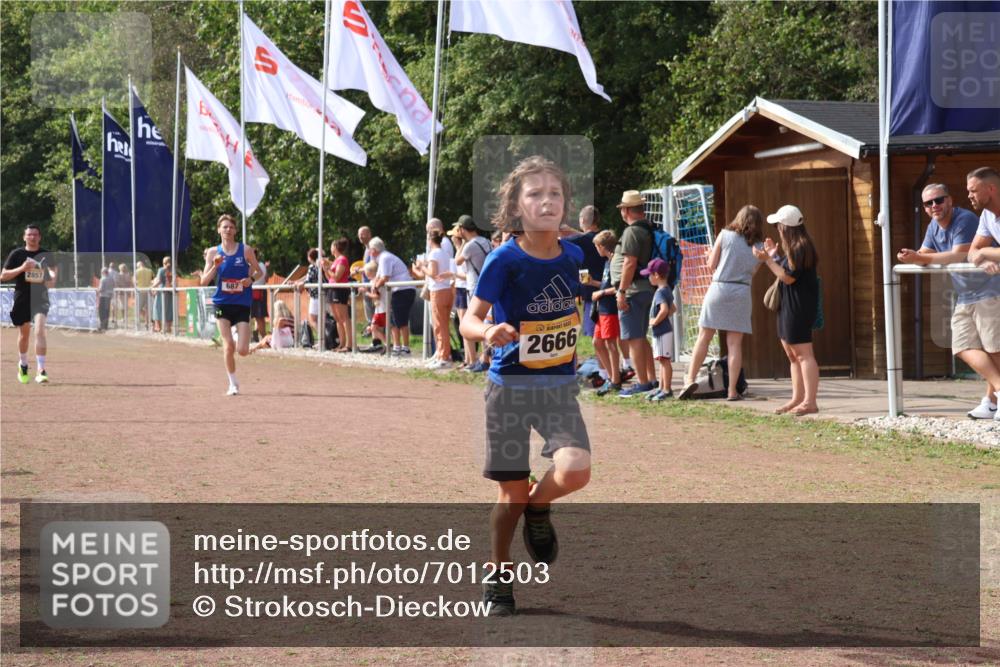 08.09.2024 - Airport Race Strokosch-Dieckow http://msf.ph/oto/7012503 08.09.2024 12:04:46 Ziel 687, 2666, 2845, 2857 meine-sportfotos.de