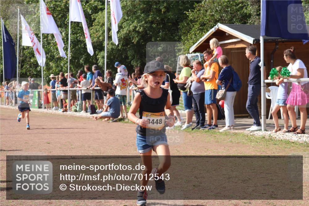 08.09.2024 - Airport Race Strokosch-Dieckow http://msf.ph/oto/7012543 08.09.2024 11:30:18 Ziel 1677, 1682, 1684, 1695, 1754, 1805, 1816, 1936, 3424, 3445, 3447, 3448, 3449 meine-sportfotos.de
