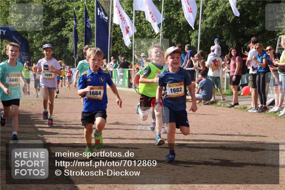 08.09.2024 - Airport Race Strokosch-Dieckow http://msf.ph/oto/7012869 08.09.2024 11:30:25 Ziel 1610, 1661, 1677, 1682, 1684, 1689, 1691, 1695, 1725, 1754, 1756, 1758, 1774, 1794, 1795, 1805, 1816, 1901, 1936, 3424, 3433, 3445, 3449 meine-sportfotos.de