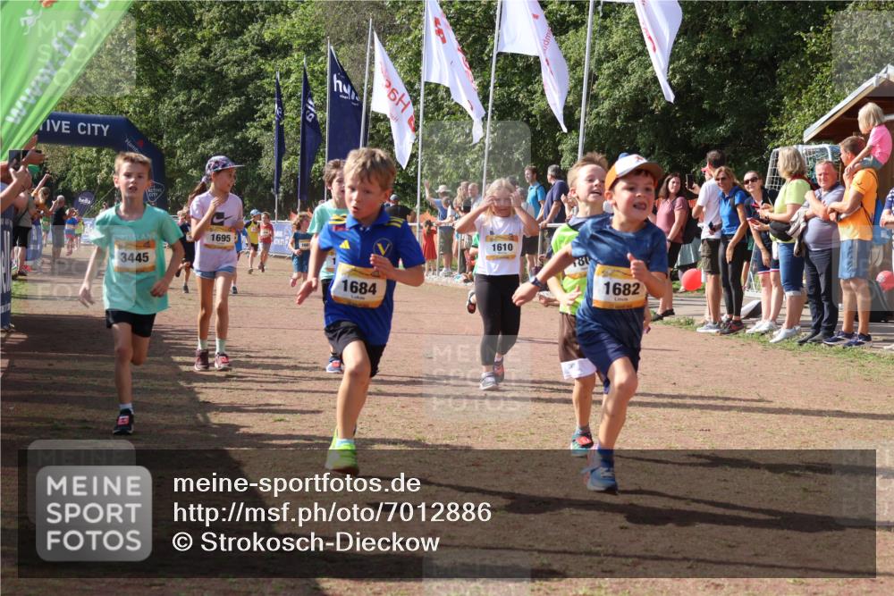 08.09.2024 - Airport Race Strokosch-Dieckow http://msf.ph/oto/7012886 08.09.2024 11:30:25 Ziel 1610, 1661, 1677, 1682, 1684, 1689, 1691, 1695, 1725, 1754, 1756, 1758, 1774, 1794, 1795, 1805, 1816, 1901, 1936, 3424, 3433, 3445, 3449 meine-sportfotos.de