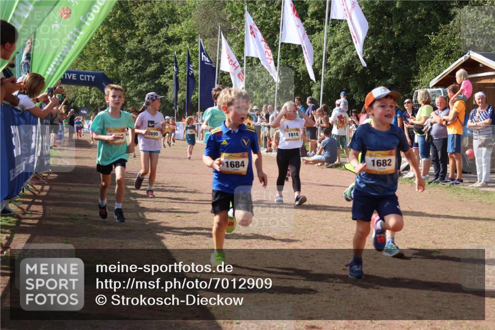 08.09.2024 - Airport Race Strokosch-Dieckow http://msf.ph/oto/7012909 08.09.2024 11:30:25 Ziel 1610, 1661, 1677, 1682, 1684, 1689, 1691, 1695, 1725, 1754, 1756, 1758, 1774, 1794, 1795, 1805, 1816, 1901, 1936, 3424, 3433, 3445, 3449 meine-sportfotos.de
