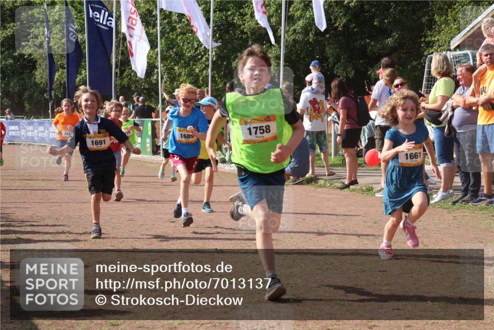 08.09.2024 - Airport Race Strokosch-Dieckow http://msf.ph/oto/7013137 08.09.2024 11:30:30 Ziel 1610, 1661, 1663, 1679, 1689, 1691, 1695, 1725, 1737, 1756, 1758, 1774, 1794, 1795, 1901, 1936, 3433 meine-sportfotos.de