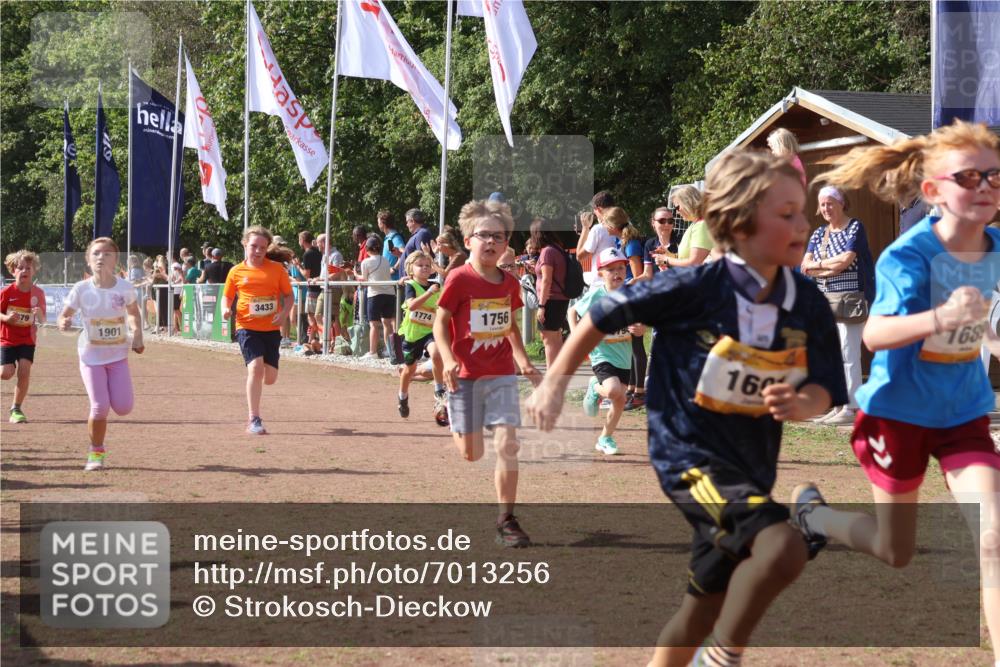 08.09.2024 - Airport Race Strokosch-Dieckow http://msf.ph/oto/7013256 08.09.2024 11:30:32 Ziel 1610, 1661, 1663, 1679, 1689, 1691, 1725, 1737, 1756, 1758, 1774, 1794, 1795, 1901, 3433 meine-sportfotos.de