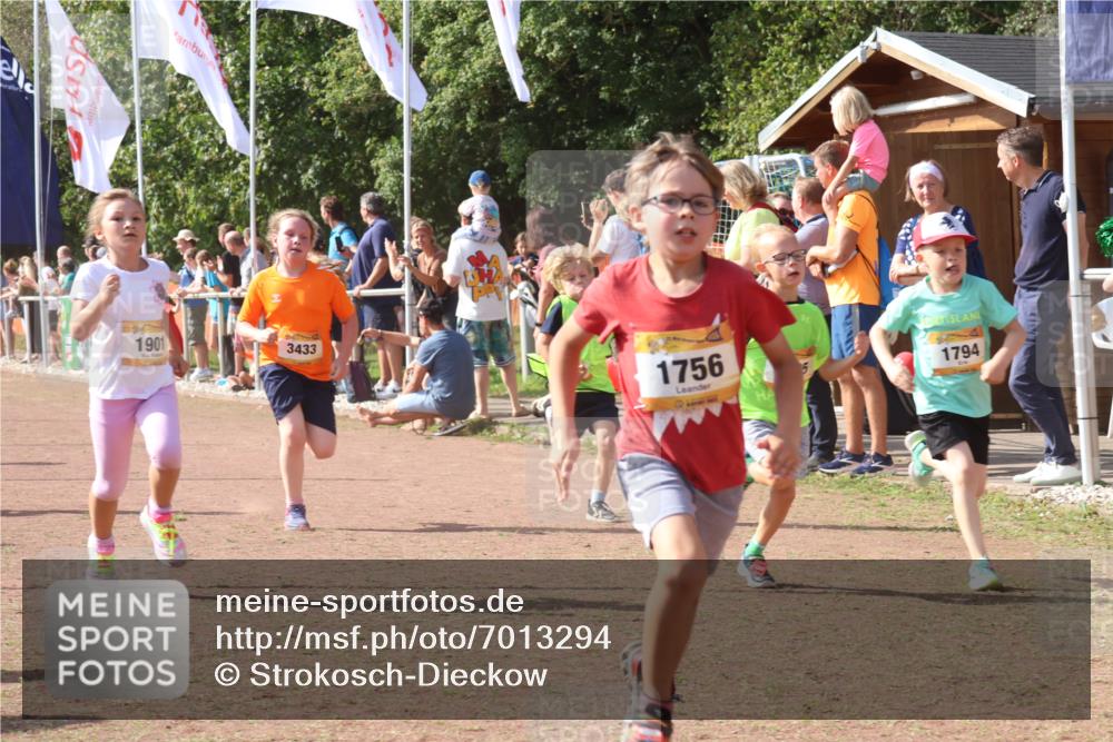 08.09.2024 - Airport Race Strokosch-Dieckow http://msf.ph/oto/7013294 08.09.2024 11:30:33 Ziel 1610, 1663, 1679, 1689, 1691, 1725, 1737, 1756, 1774, 1788, 1794, 1795, 1901, 3433 meine-sportfotos.de