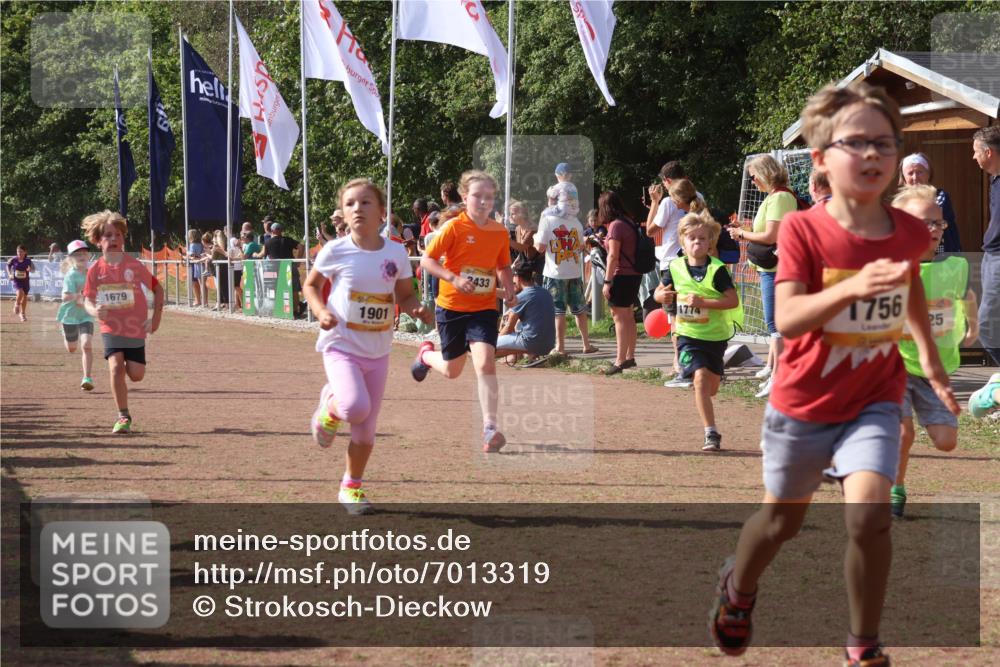08.09.2024 - Airport Race Strokosch-Dieckow http://msf.ph/oto/7013319 08.09.2024 11:30:33 Ziel 1610, 1663, 1679, 1689, 1691, 1725, 1737, 1756, 1774, 1788, 1794, 1795, 1901, 3433 meine-sportfotos.de
