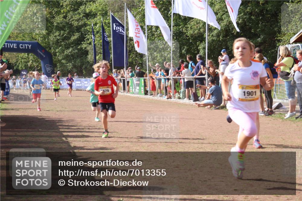 08.09.2024 - Airport Race Strokosch-Dieckow http://msf.ph/oto/7013355 08.09.2024 11:30:33 Ziel 1610, 1663, 1679, 1689, 1691, 1725, 1737, 1756, 1774, 1788, 1794, 1795, 1901, 3433 meine-sportfotos.de