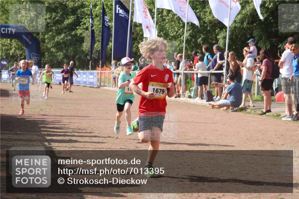 08.09.2024 - Airport Race Strokosch-Dieckow http://msf.ph/oto/7013395 08.09.2024 11:30:34 Ziel 1610, 1663, 1679, 1689, 1691, 1725, 1737, 1756, 1774, 1788, 1794, 1901, 3433, 3438 meine-sportfotos.de