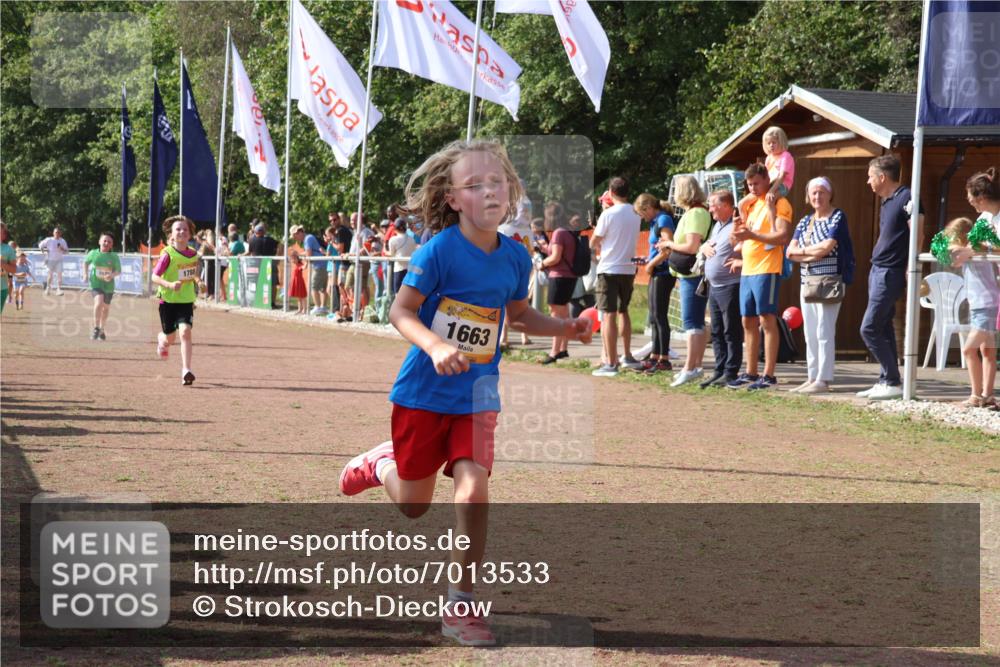 08.09.2024 - Airport Race Strokosch-Dieckow http://msf.ph/oto/7013533 08.09.2024 11:30:39 Ziel 1631, 1663, 1705, 1715, 1729, 1788, 1801, 3438 meine-sportfotos.de