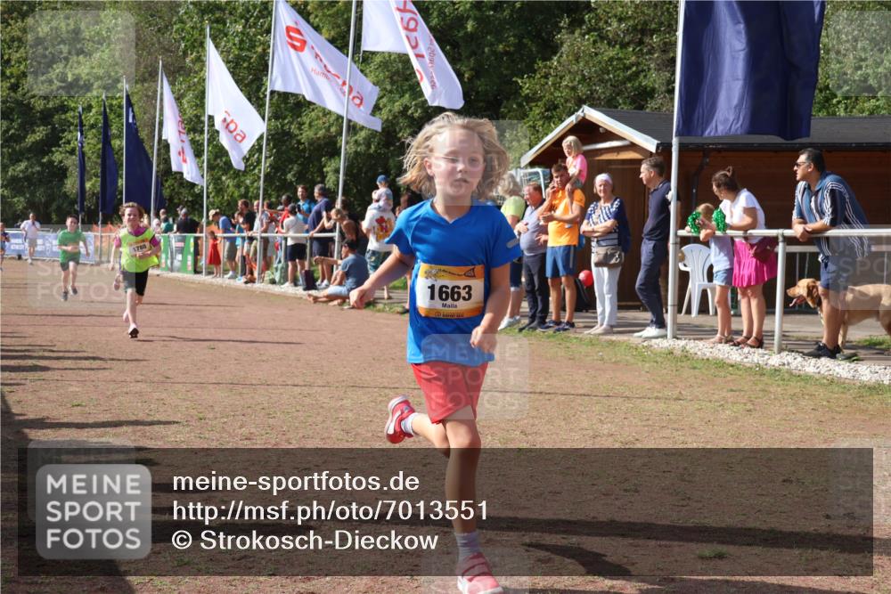 08.09.2024 - Airport Race Strokosch-Dieckow http://msf.ph/oto/7013551 08.09.2024 11:30:39 Ziel 1631, 1663, 1705, 1715, 1729, 1788, 1801, 3438 meine-sportfotos.de