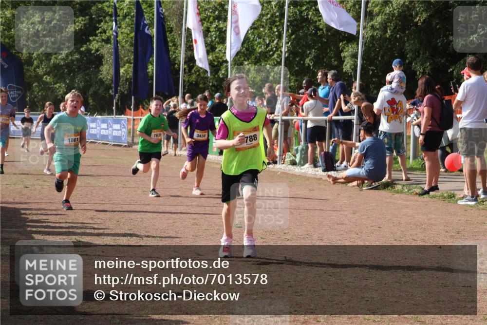 08.09.2024 - Airport Race Strokosch-Dieckow http://msf.ph/oto/7013578 08.09.2024 11:30:41 Ziel 1631, 1663, 1705, 1715, 1718, 1729, 1788, 1801, 3438 meine-sportfotos.de