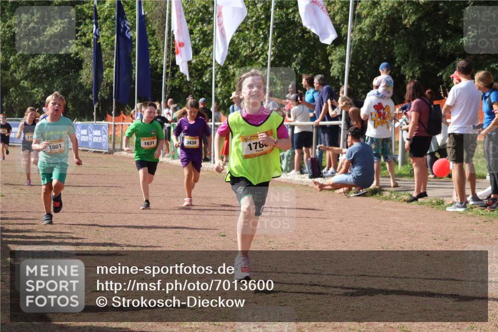 08.09.2024 - Airport Race Strokosch-Dieckow http://msf.ph/oto/7013600 08.09.2024 11:30:41 Ziel 1631, 1663, 1705, 1715, 1718, 1729, 1788, 1801, 3438 meine-sportfotos.de