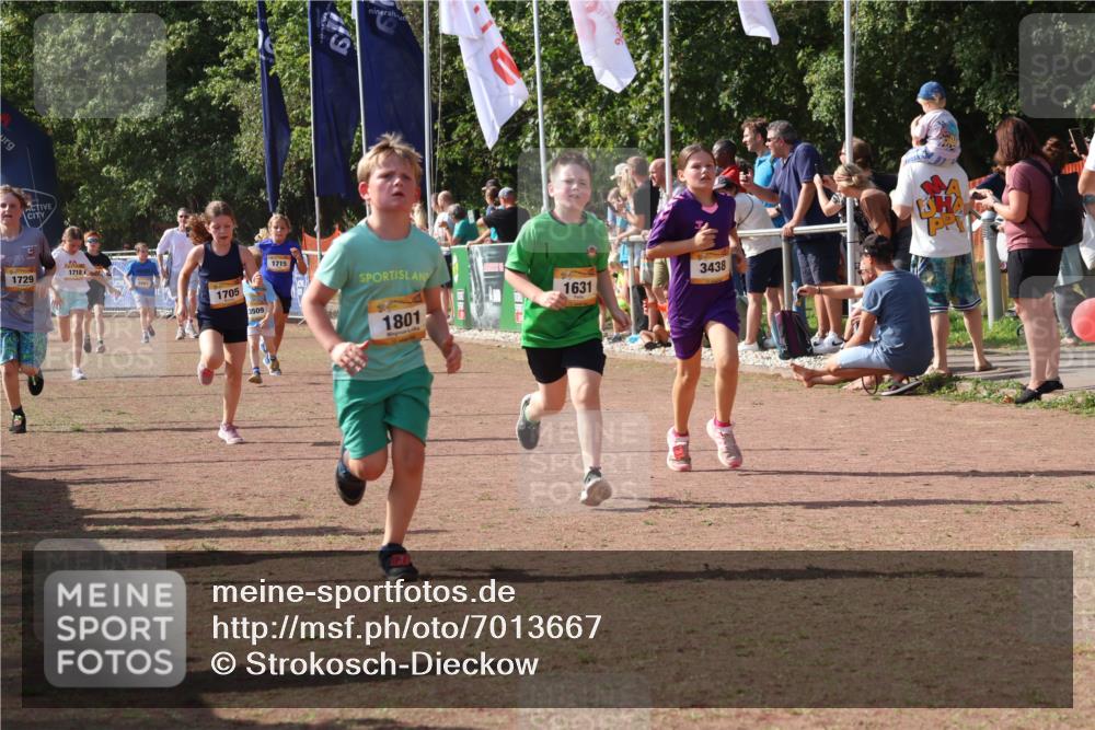 08.09.2024 - Airport Race Strokosch-Dieckow http://msf.ph/oto/7013667 08.09.2024 11:30:43 Ziel 1631, 1705, 1715, 1718, 1729, 1788, 1801, 3438 meine-sportfotos.de