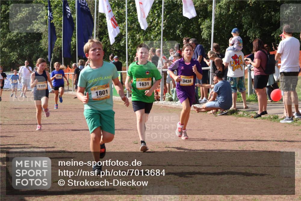 08.09.2024 - Airport Race Strokosch-Dieckow http://msf.ph/oto/7013684 08.09.2024 11:30:43 Ziel 1631, 1705, 1715, 1718, 1729, 1788, 1801, 3438 meine-sportfotos.de