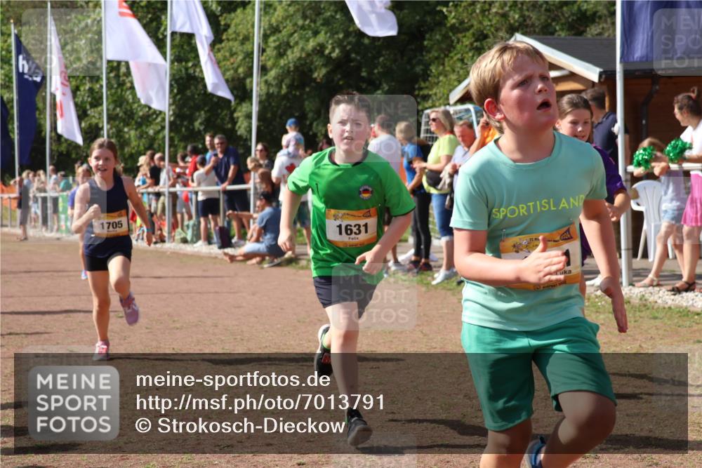 08.09.2024 - Airport Race Strokosch-Dieckow http://msf.ph/oto/7013791 08.09.2024 11:30:45 Ziel 1631, 1705, 1715, 1718, 1729, 1788, 1801, 1908, 3438 meine-sportfotos.de