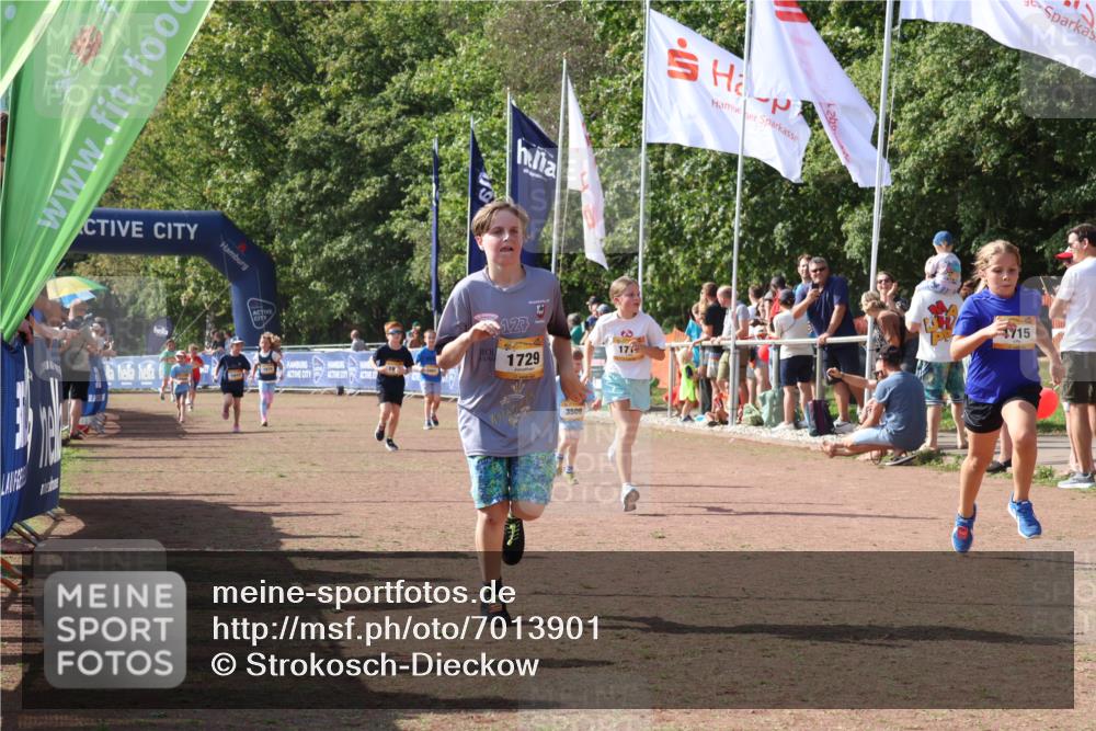 08.09.2024 - Airport Race Strokosch-Dieckow http://msf.ph/oto/7013901 08.09.2024 11:30:47 Ziel 1631, 1705, 1715, 1718, 1729, 1801, 1908, 1915 meine-sportfotos.de