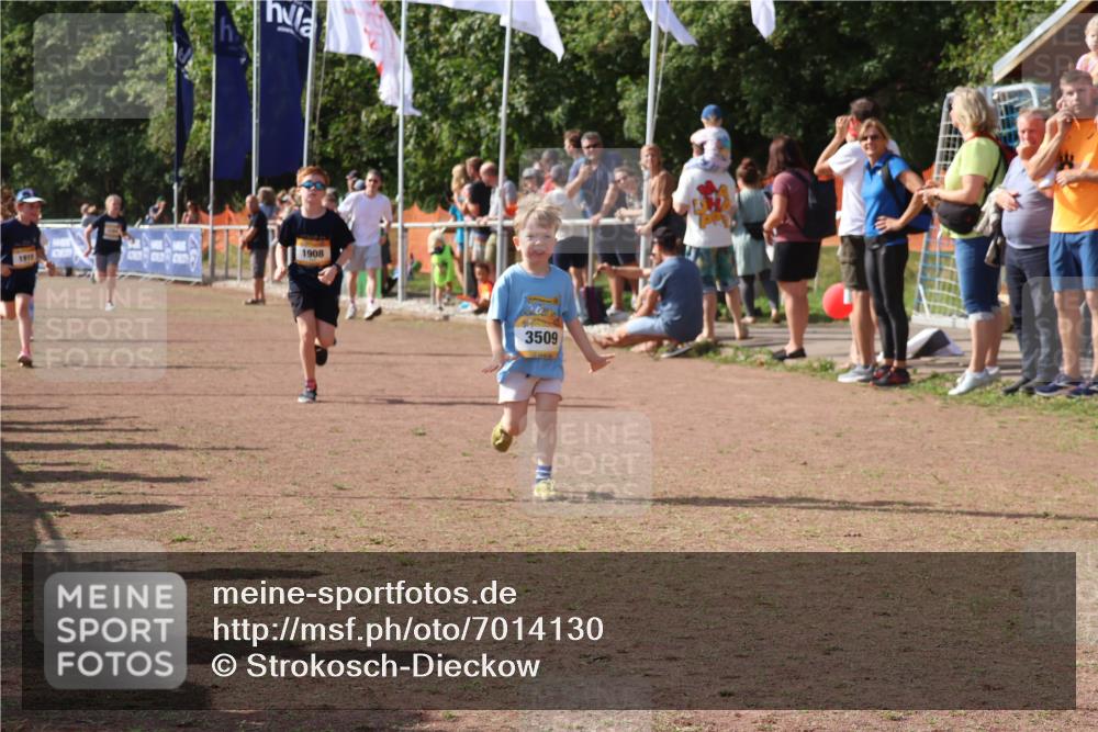 08.09.2024 - Airport Race Strokosch-Dieckow http://msf.ph/oto/7014130 08.09.2024 11:30:50 Ziel 1715, 1718, 1729, 1764, 1870, 1908, 1915, 3401 meine-sportfotos.de