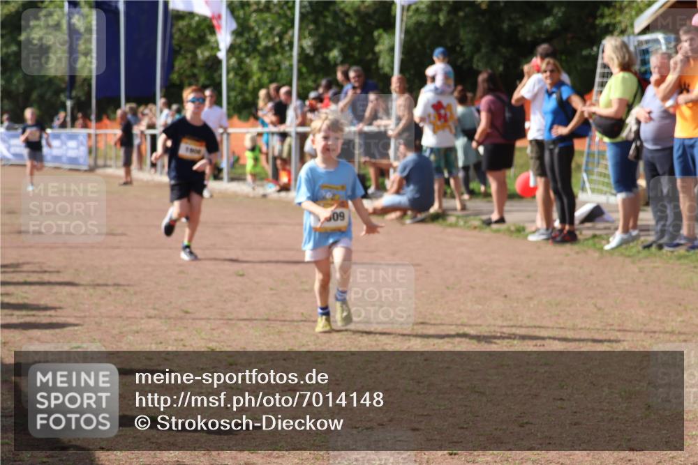 08.09.2024 - Airport Race Strokosch-Dieckow http://msf.ph/oto/7014148 08.09.2024 11:30:51 Ziel 1718, 1729, 1764, 1767, 1870, 1908, 1915, 3401 meine-sportfotos.de